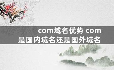 com域名优势 com是国内域名还是国外域名